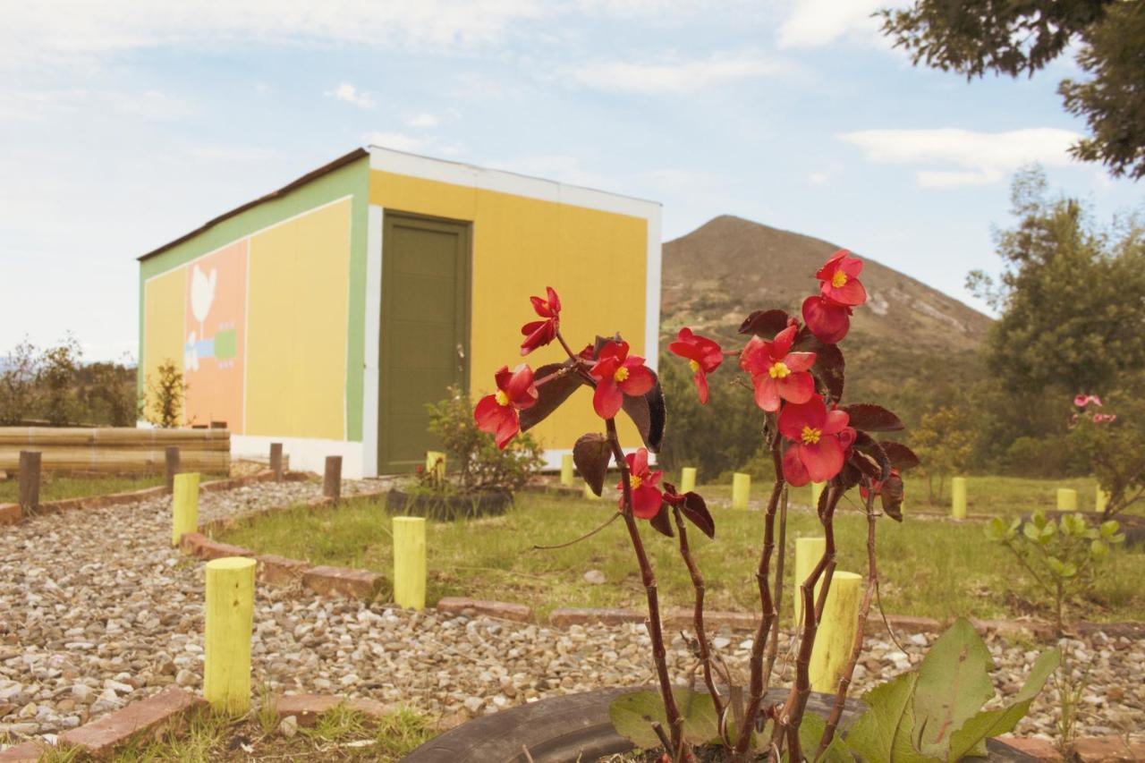 Luna Llena Campsite